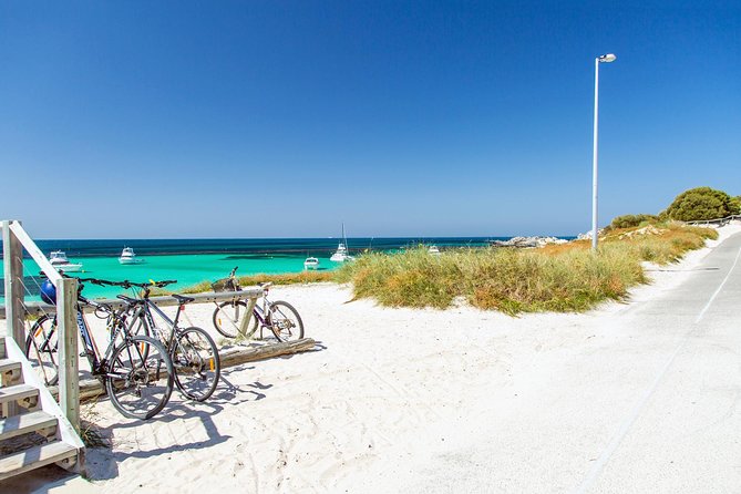 Perth to Rottnest Island Roundtrip Ferry Ticket - Food, activities, and the true cost