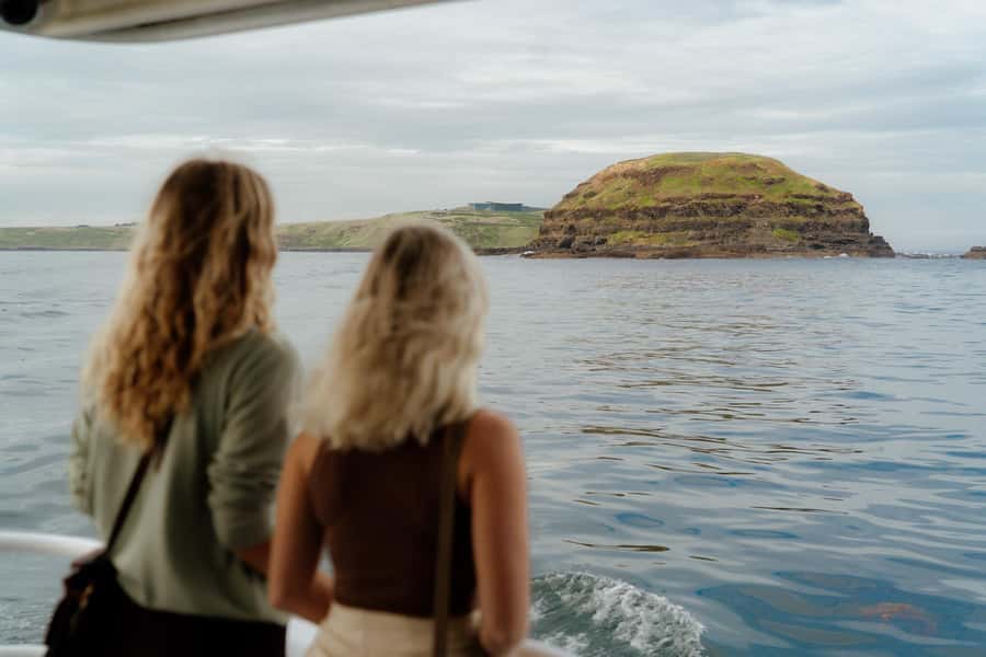 Philip Island: Seal Watching Cruise - Wildlife watching beyond the seals