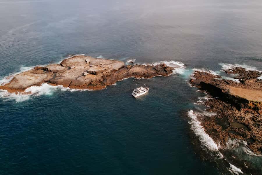 Philip Island: Seal Watching Cruise - Who will enjoy this Phillip Island cruise most?