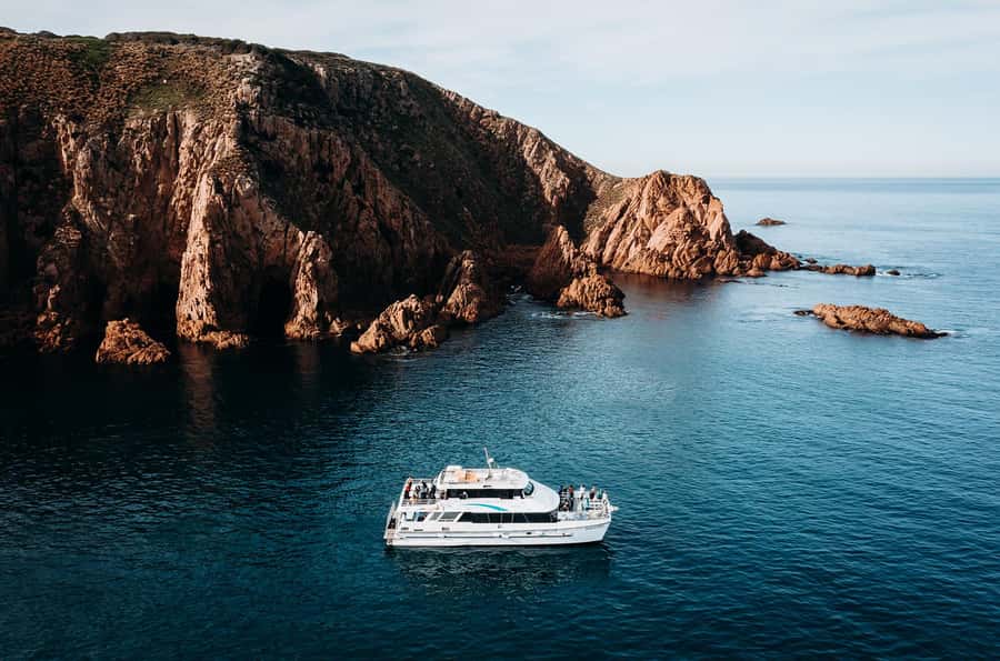Phillip Island: 1-Hour Cape Woolamai Scenic Cruise - Birdlife and the Chance of Seals or Dolphins