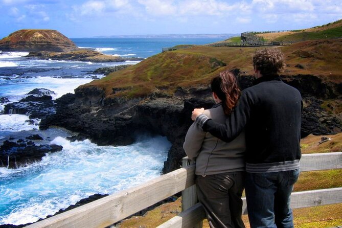 Phillip Island Penguin Parade Express Tour from Melbourne - General viewing, premium seats, and crowd control