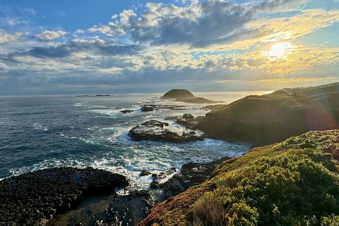 Phillip Island Penguin Parade Express Tour from Melbourne - Weather, clothing, and what to carry