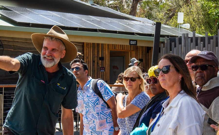 Phillip Island Penguin Parade with Expert Local Guide - Food, clothing, and what to carry