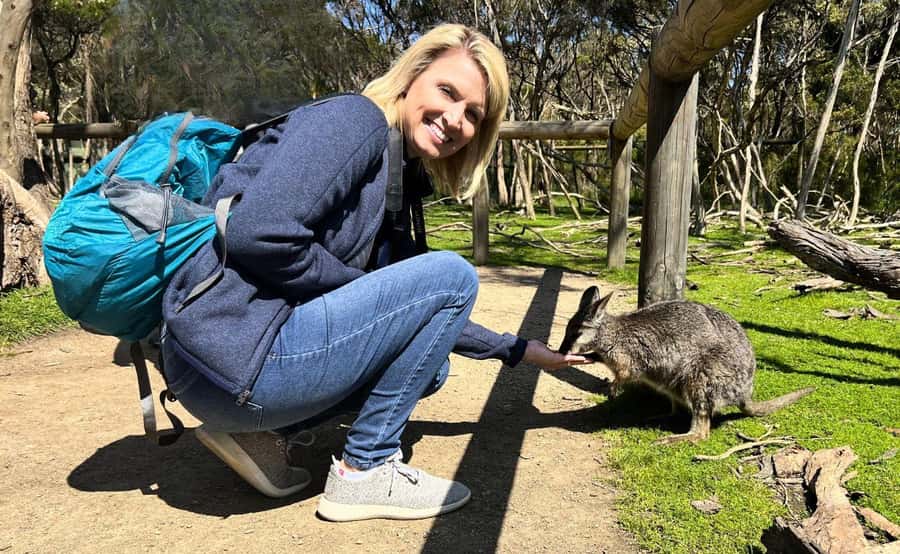Phillip Island Penguin Parade with Expert Local Guide - The Nobbies Boardwalk and Southern Ocean views