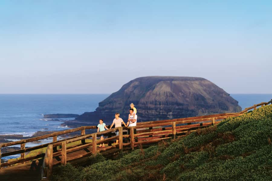 Phillip Island: Penguins and Wildlife Full-Day Tour - Key points at a glance