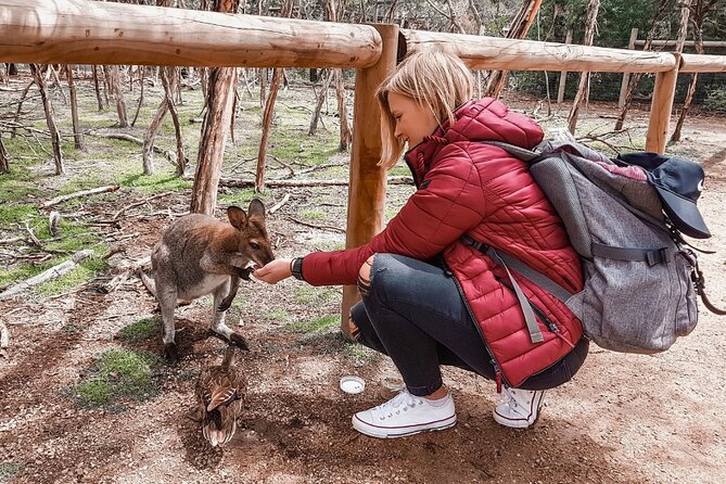 Phillip Island Penguins & Wildlife Day Tour from Melbourne - Why Phillip Island makes a strong day trip