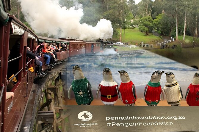 Phillip Island Penguins & Wildlife Day Tour from Melbourne - Guides, group size, and the value of commentary