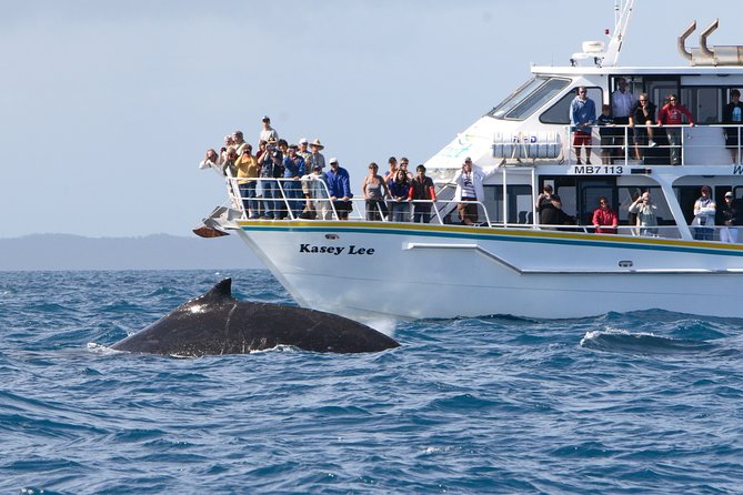 Phillip Island Seal-Watching Cruise - Commentary, crew, and the onboard experience