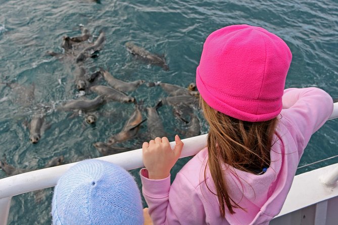 Phillip Island Seal-Watching Cruise - Afternoon tea adds value to the two-hour trip