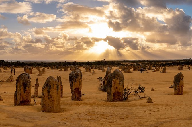 Pinnacle Desert Sunset and Night-time Stargazing Tour from Perth - Key points before you book