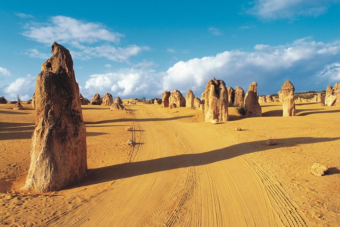 Pinnacles Desert, Koalas and Sandboarding 4WD Day Tour from Perth - Key points to know before you book