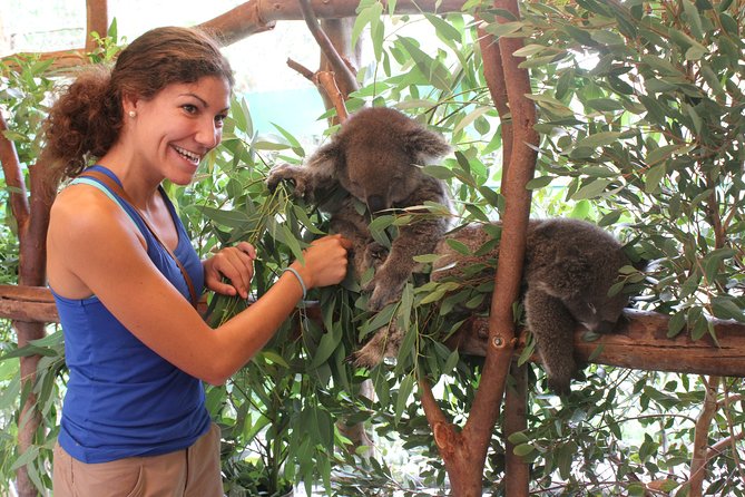 Pinnacles Desert, Koalas and Sandboarding 4WD Day Tour from Perth - Who should book this day out?