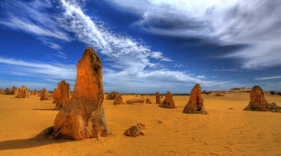 Pinnacles, Koalas, 4WD & Sandboarding Tour from Perth - The long road north to Cervantes