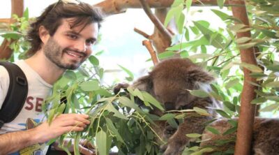 Pinnacles, Koalas, 4WD & Sandboarding Tour from Perth