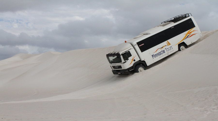 Pinnacles, Koalas, 4WD & Sandboarding Tour from Perth - Lancelin’s white dunes and the 4WD ride
