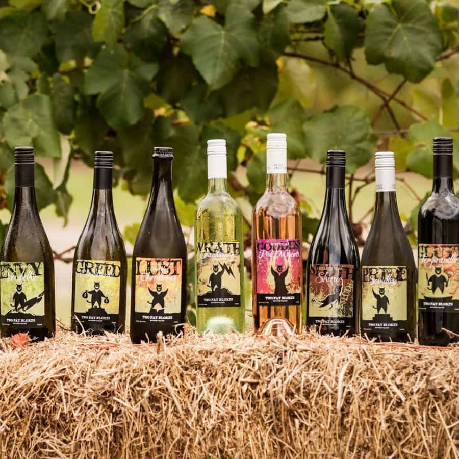 Pokolbin: Hunter Valley Half-Day Tour with Cheese and Wine - Starting at Two Fat Blokes: cheese changes the wine