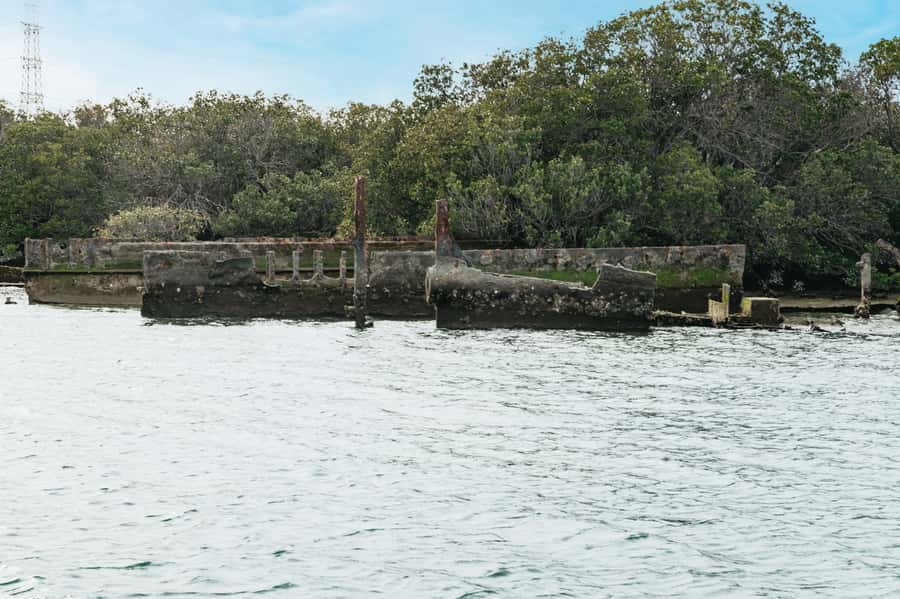 Port Adelaide: Dolphin and Ships Graveyard Cruise - Who will enjoy this cruise most?