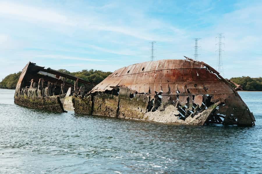 Port Adelaide: Dolphin and Ships Graveyard Cruise - Why Port Adelaide is best seen from the river