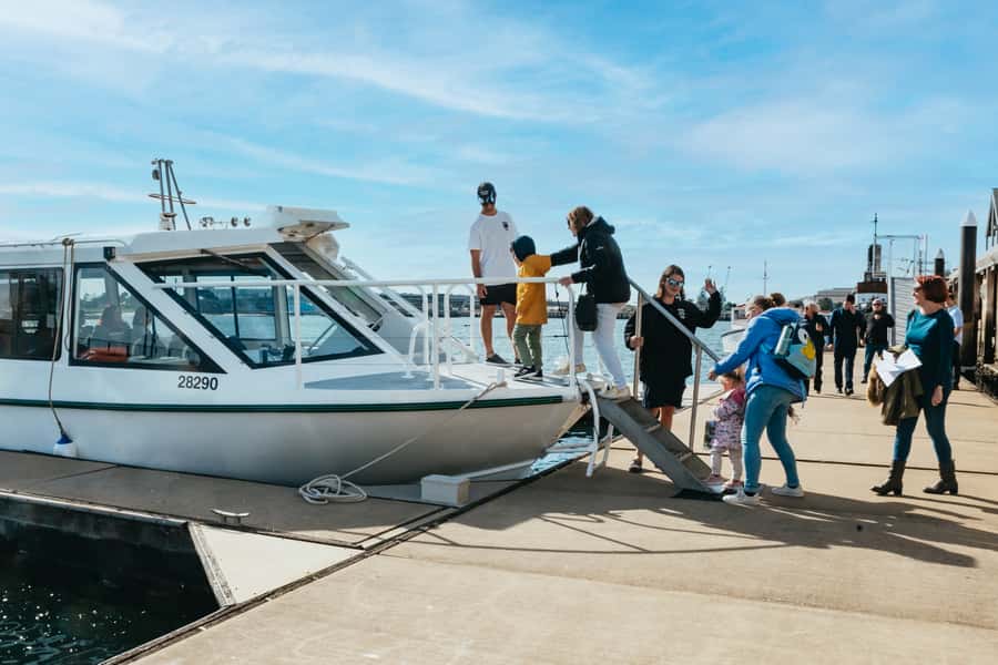 Port Adelaide: Dolphin and Ships Graveyard Cruise - Searching for dolphins in an urban sanctuary