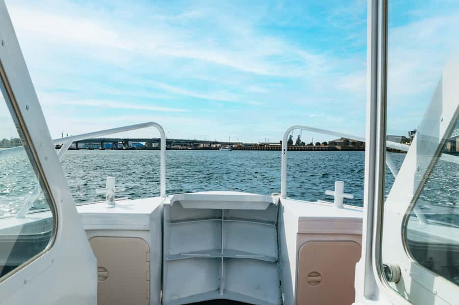 Port Adelaide: Dolphin and Ships Graveyard Cruise - Comfort, drinks, and what to bring