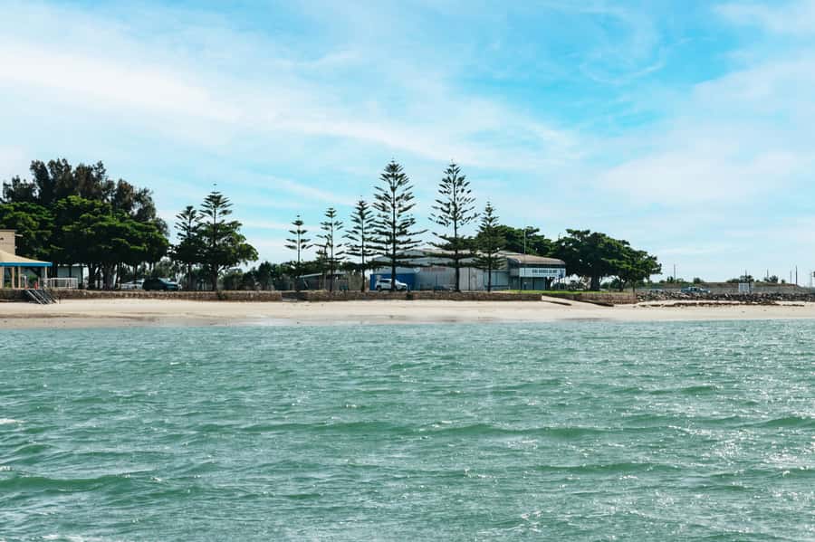 Port Adelaide: Dolphin and Ships Graveyard Cruise - Is $62 good value for 90 minutes?