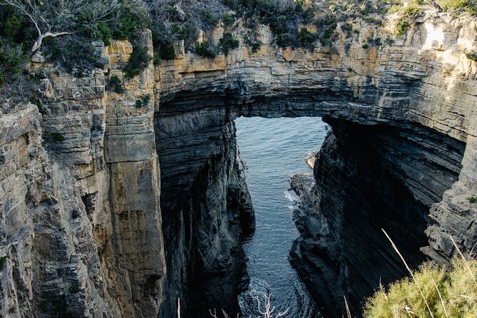 Port Arthur, Richmond and Tassie Devils Active Tour from Hobart - Key points to know before booking