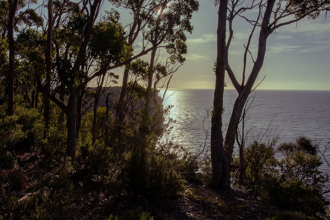 Port Arthur, Richmond and Tassie Devils Active Tour from Hobart - The included harbour cruise