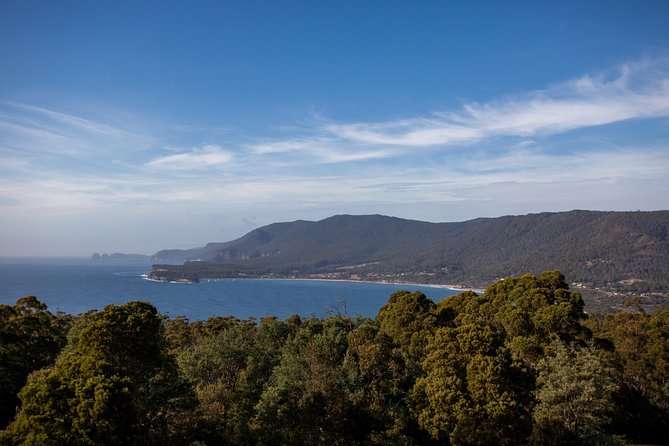 Port Arthur, Richmond and Tassie Devils Active Tour from Hobart - The Waterfall Bay Cliff Top Walk