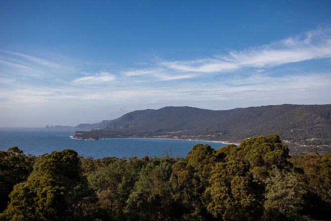 Port Arthur, Richmond & Tasman Peninsula Active Day Tour - Why this Tasman Peninsula day works