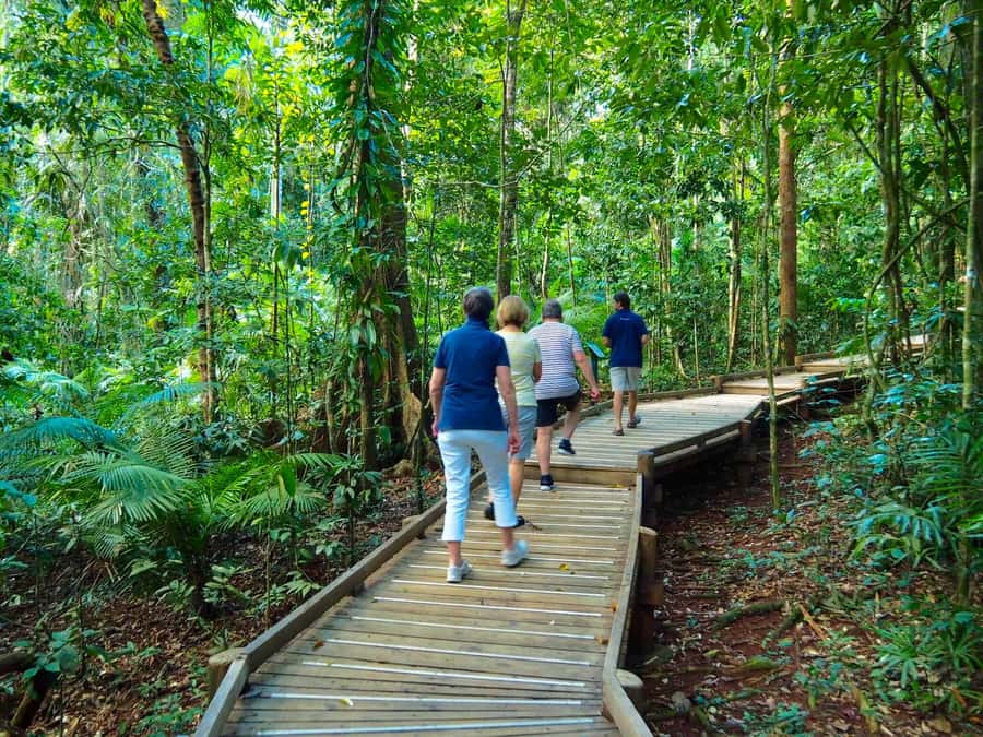 Port Douglas: Daintree Rainforest and Cape Tribulation Tour - Key details at a glance