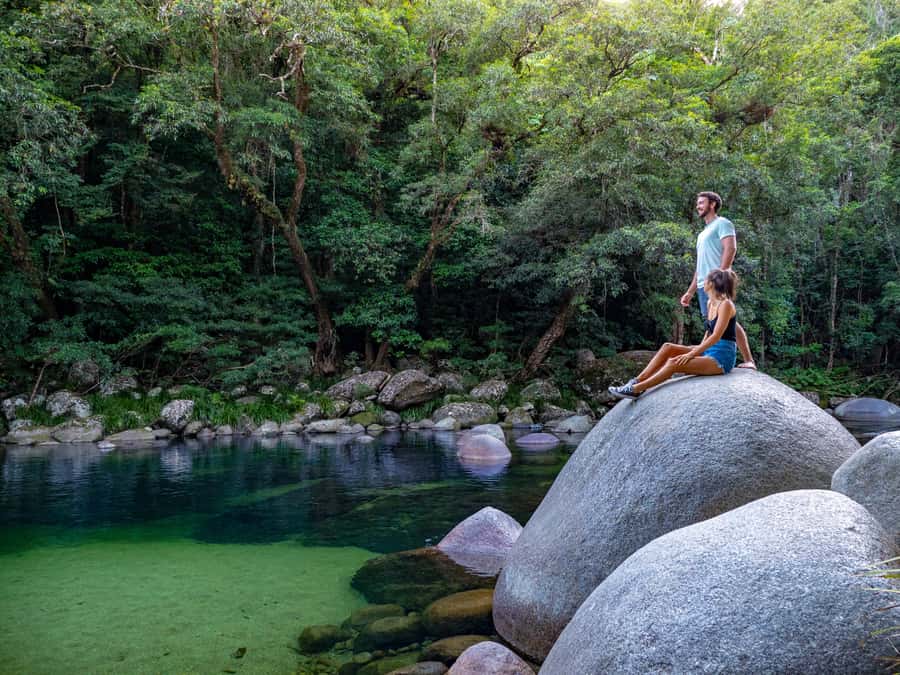 Port Douglas: Daintree Rainforest and Cape Tribulation Tour - Why the small vehicle matters on a nine-hour day