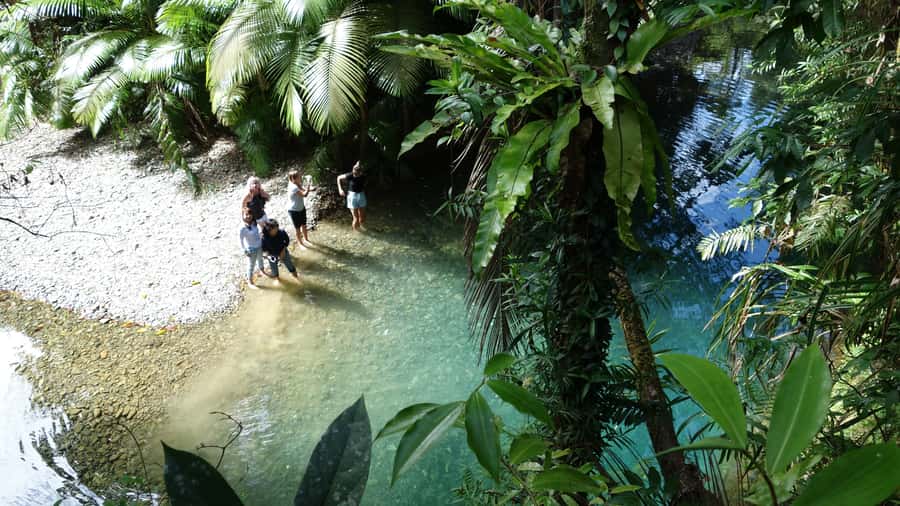Port Douglas: Daintree Rainforest and Cape Tribulation Tour - Mossman Gorge and the sound of clear water
