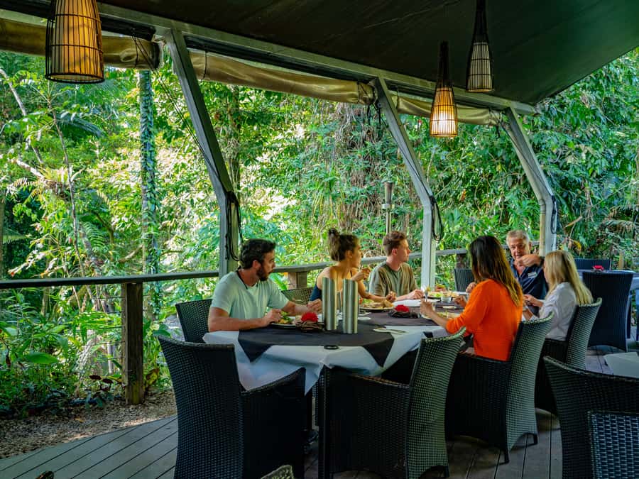 Port Douglas: Daintree Rainforest and Cape Tribulation Tour - The Daintree River ferry crossing