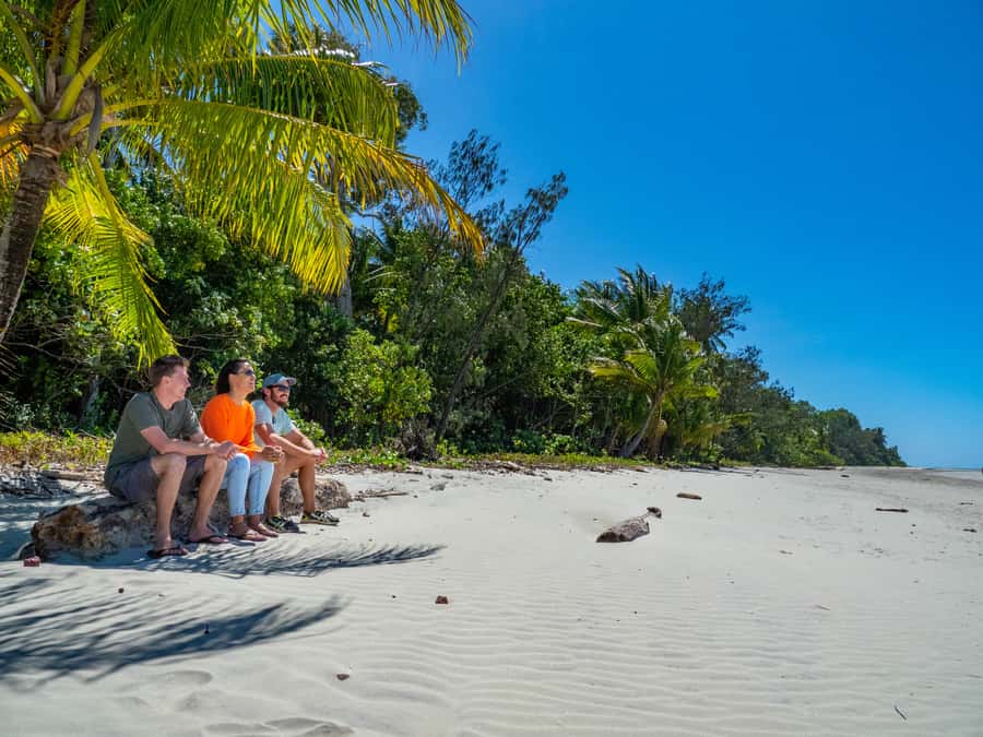 Port Douglas: Daintree Rainforest and Cape Tribulation Tour - Cooper Creek wildlife cruise