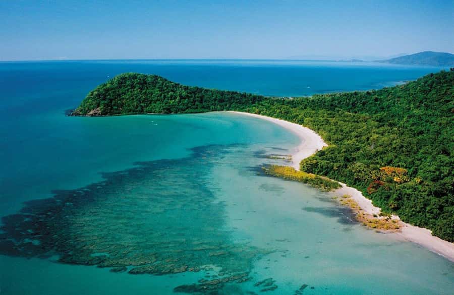 Port Douglas: Daintree Rainforest and Mossman Gorge Tour - Key points to know before booking