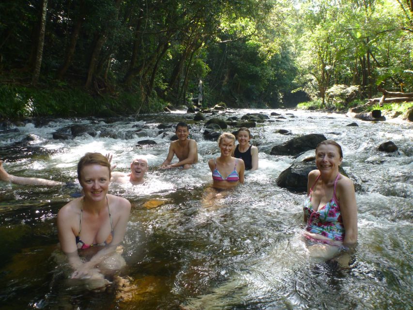 Port Douglas: Daintree Rainforest and Mossman Gorge Tour - Alexandra Lookout opens the view