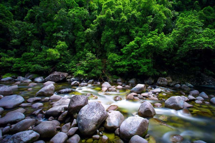 Port Douglas: Daintree Rainforest and Mossman Gorge Tour - BBQ lunch is better than a rushed picnic