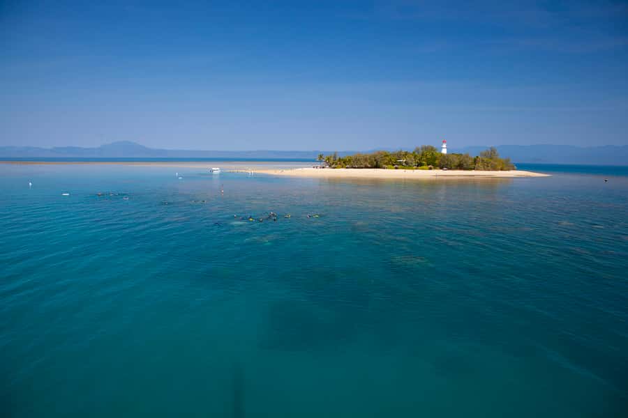 Port Douglas: Low Isles Glass Bottom Boat & Snorkeling Tour - What happens during the 90 minutes at Low Isles