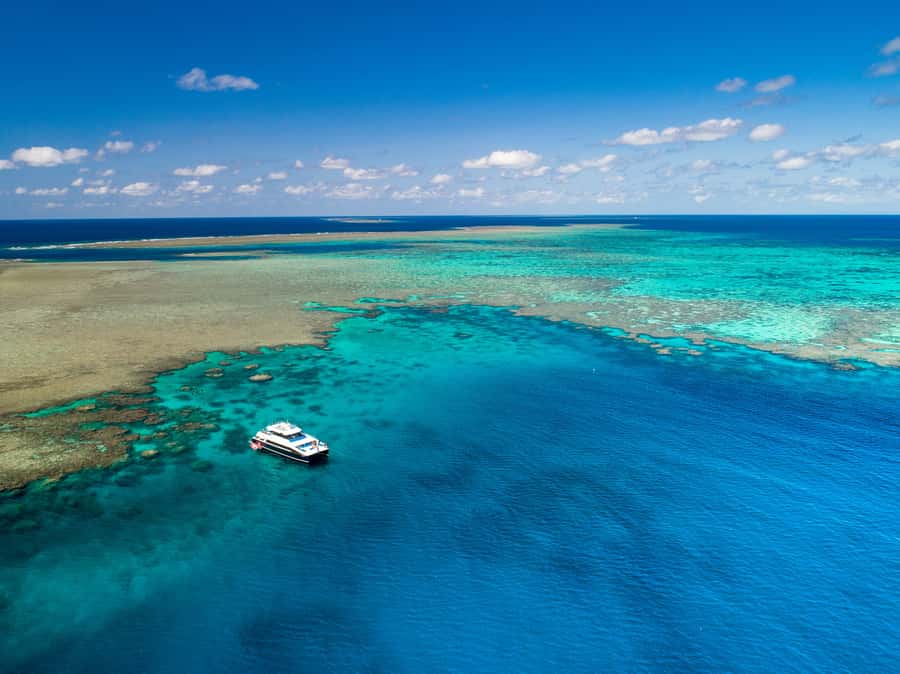 Port Douglas: Outer Barrier Reef Snorkel and Dive Options - Key Things To Know Before You Book