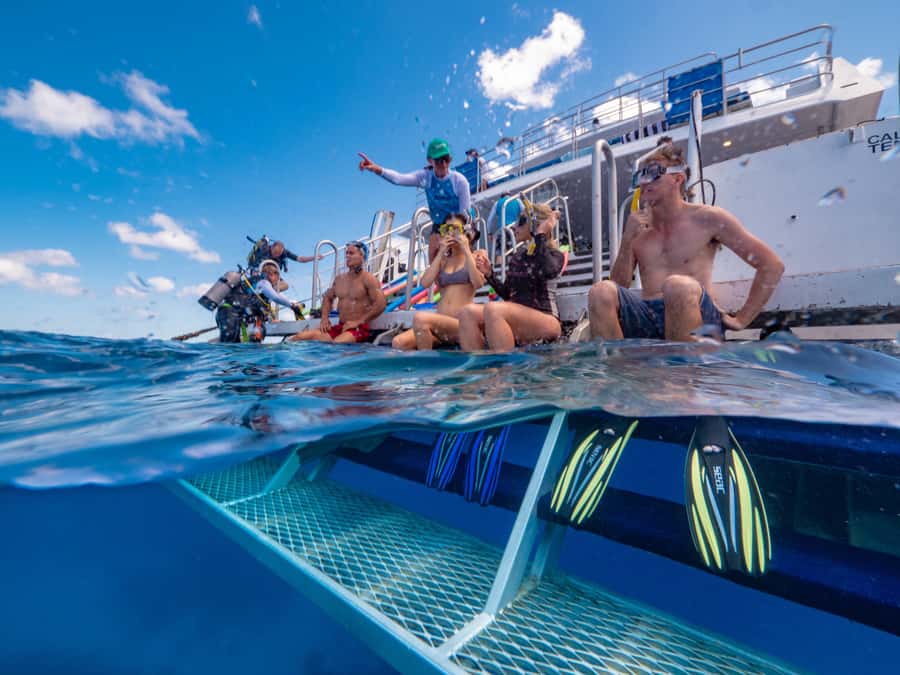 Port Douglas: Outer Barrier Reef Snorkel and Dive Options - The Third Reef Site Gives You Choice