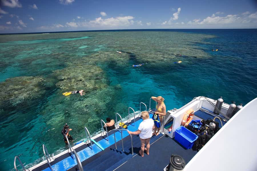 Port Douglas: Outer Barrier Reef Snorkel and Dive Options - Is $174 Good Value?