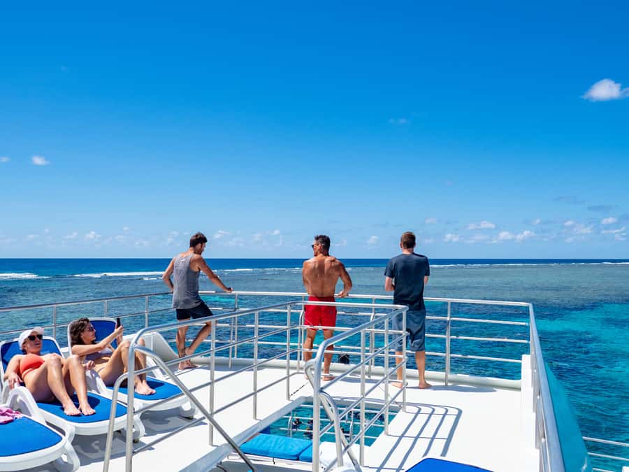 Port Douglas: Outer Barrier Reef Snorkel and Dive Options - Who Will Enjoy This Reef Cruise Most?