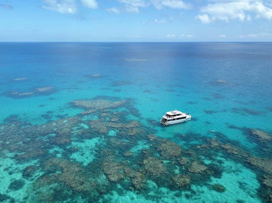 Port Douglas: Outer Great Barrier Reef Snorkeling Cruise - What makes this Port Douglas reef trip different