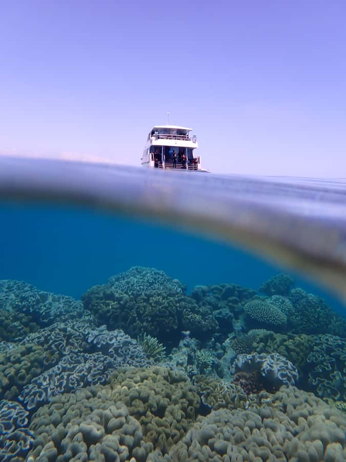 Port Douglas: Outer Great Barrier Reef Snorkeling Cruise - Is $210 a fair price?