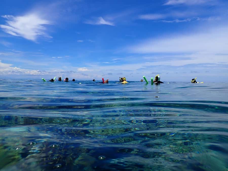 Port Douglas: Outer Great Barrier Reef Snorkeling Cruise - Boat comfort, group size, and personal attention
