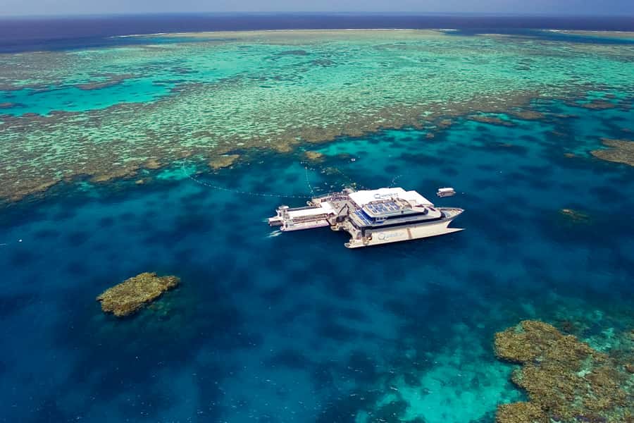 Port Douglas: Quicksilver Outer Barrier Reef Full-Day Cruise - Quick points before you book