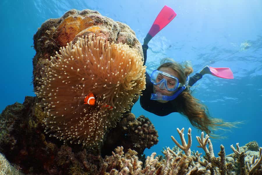 Port Douglas: Quicksilver Outer Barrier Reef Full-Day Cruise - The activity platform gives you 3.5 hours
