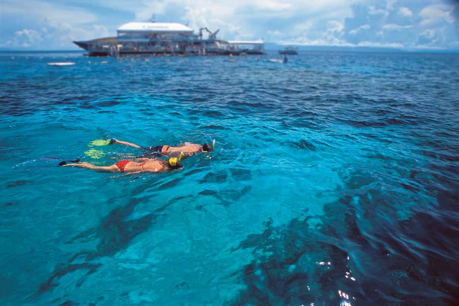 Port Douglas: Quicksilver Outer Barrier Reef Full-Day Cruise - Optional extras: where the price can rise