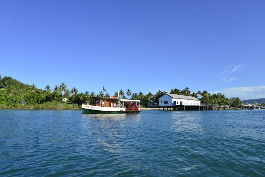 Port Douglas: River Cruise, Crocodile Spotting, Drink/ Snack - Dickson Inlet and the search for crocodiles