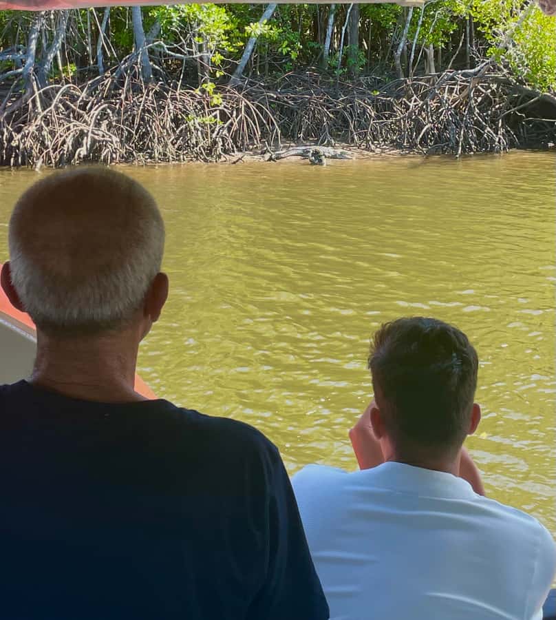 Port Douglas: River Cruise, Crocodile Spotting, Drink/ Snack - How the 90-minute length works